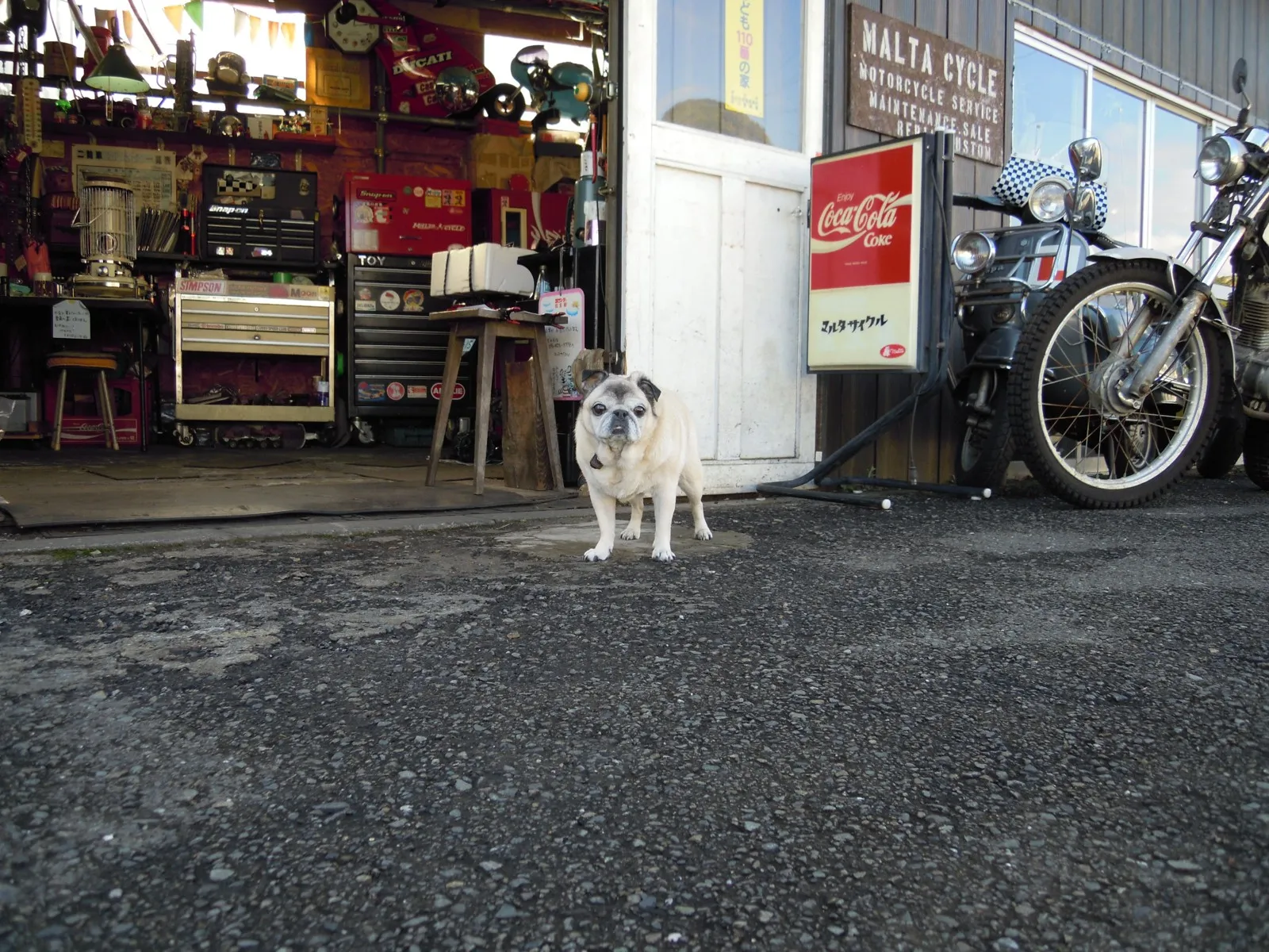 マルタサイクルの店先